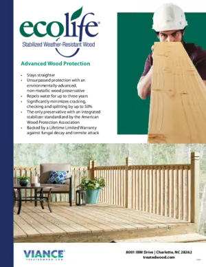 Ecolife Information Sheet preview
