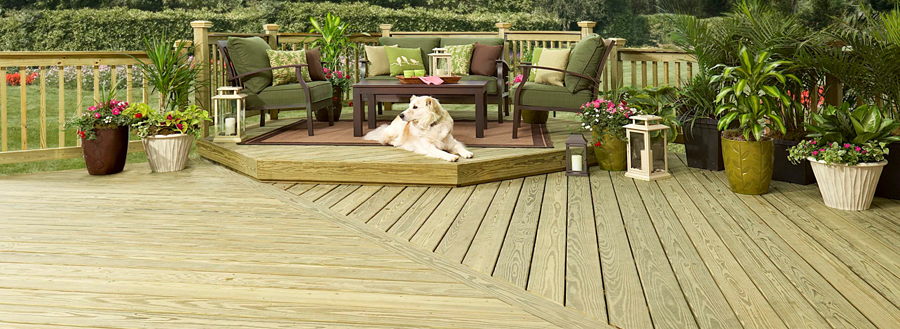 Ecolifedeck2