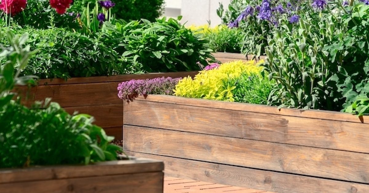 Is Pressure Treated Wood Safe for Vegetable Gardens? Find Out!